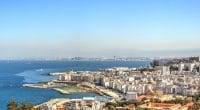 ALGERIA: Government pledges €209m for waste management in Algiers©mehdi33300/Shutterstock