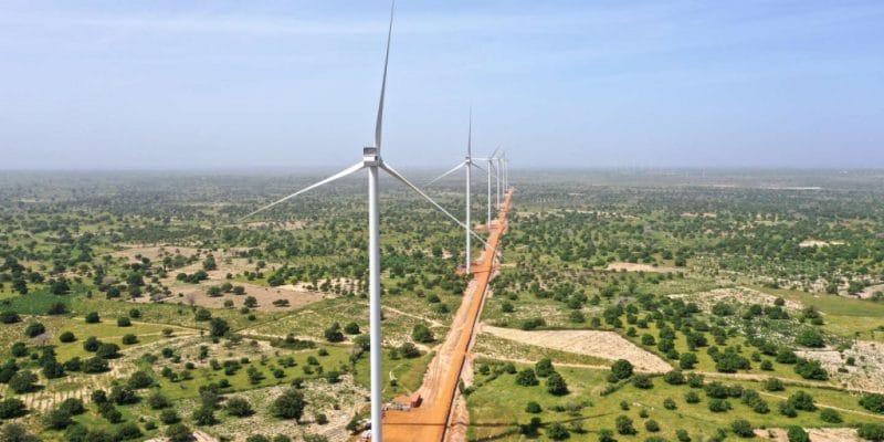 SENEGAL: DFC finances the study for the extension of the Taiba N'Diaye wind farm© Lekela Power