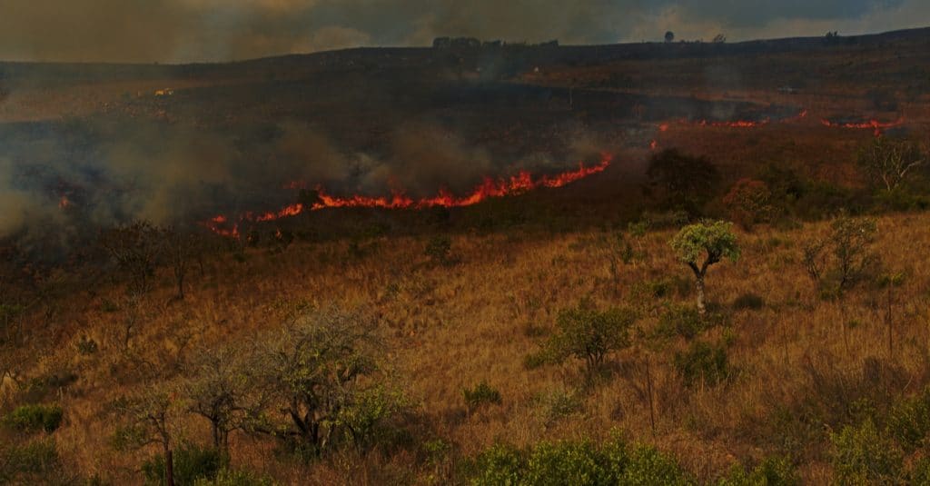 BENIN: Relying on early fires to protect biodiversity©aspas/Shutterstock