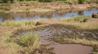 KENYA : WWF et WaterNet démarrent un projet de protection des bassins versants©Danita Delimont/Shutterstock