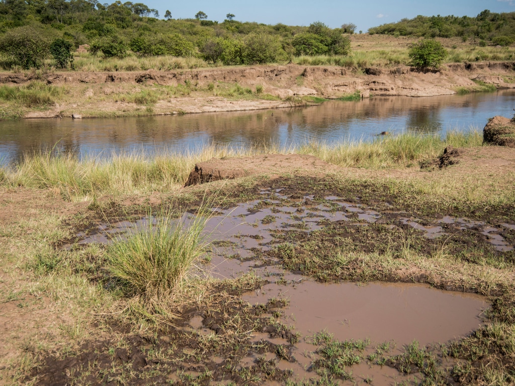 KENYA : WWF et WaterNet démarrent un projet de protection des bassins versants©Danita Delimont/Shutterstock