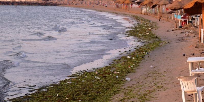 TUNISIA: In Djerba, a new project aims to fight against plastic pollution©pim van de pol/Shutterstock