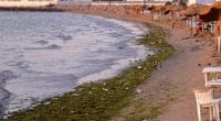 TUNISIE : à Djerba, un nouveau projet vise à lutter contre la pollution plastique©pim van de pol/Shutterstock