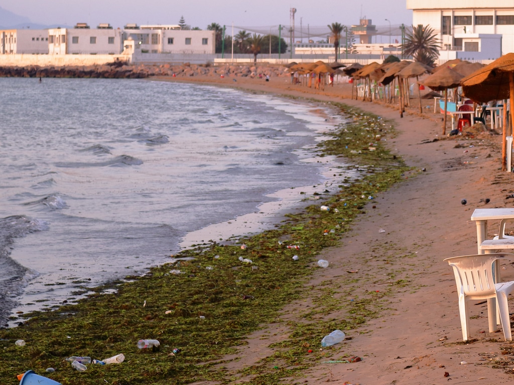 TUNISIE : à Djerba, un nouveau projet vise à lutter contre la pollution plastique©pim van de pol/Shutterstock