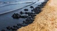 GULF OF GUINEA: a region facing the worst oil spill in history©A_Lesik/Shutterstock