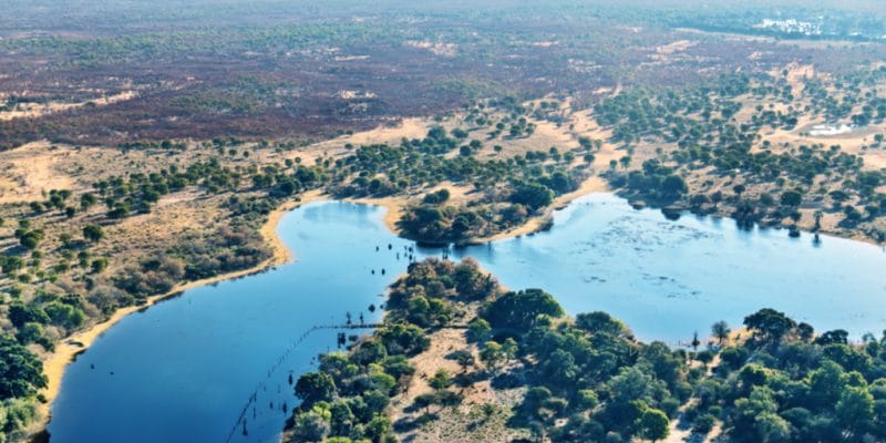 NAMIBIE : les premiers impacts de l’exploration pétrolière dans le bassin Okavango ©Vadim Petrakov/Shutterstock