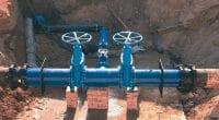 CAMEROUN : la Camwater remet en service des installations d’eau à Bertoua et à Édéa©rdonar/Shutterstock