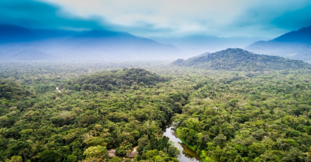 BASSIN DU CONGO : pour protéger la forêt, plus de 3 Md$ annoncé lors de la COP 26©Gustavo Frazao/Shutterstock