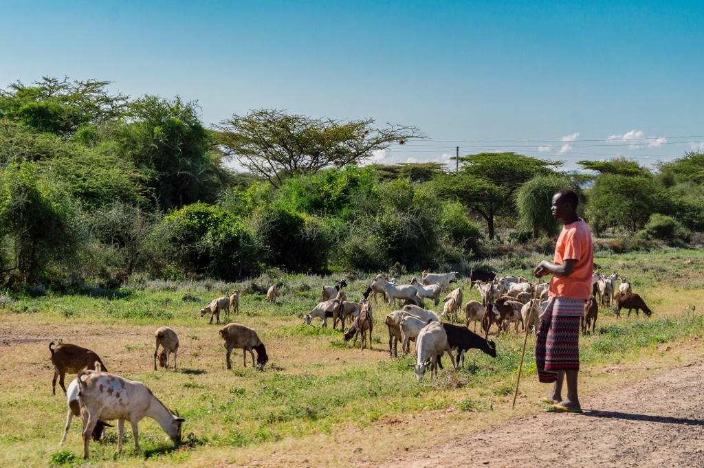 KENYA: WWF and DFCD call for applications for climate projects ©Philou 1000 de Shutterstock