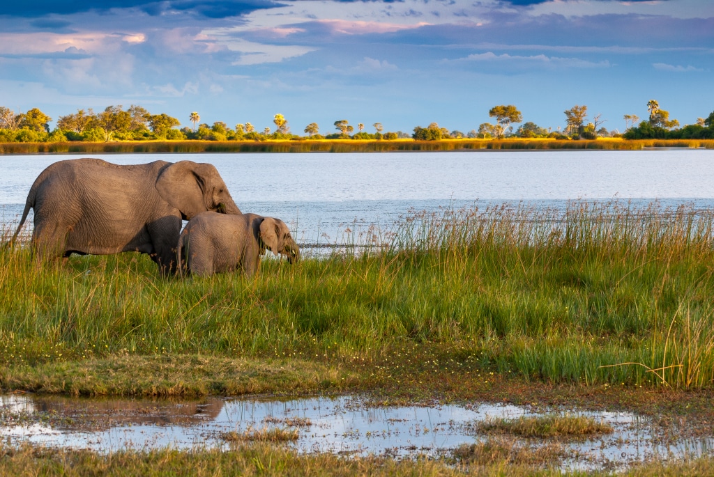 BOTSWANA: "Compact" involves local people in the preservation of the Okavango Basin ©manfredstutz/Shutterstock