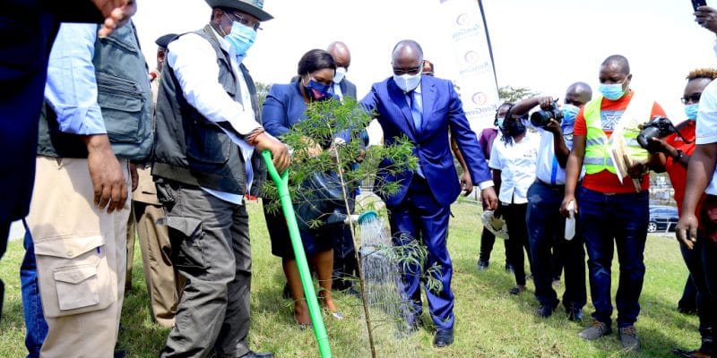 KENYA: Power producer KenGen restores 10 hectares of forest in Ngong©Rebecca Miano