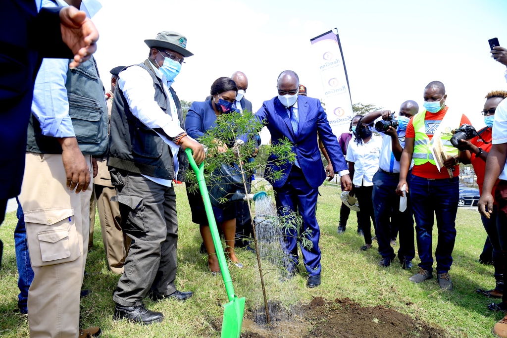 KENYA: Power producer KenGen restores 10 hectares of forest in Ngong©Rebecca Miano