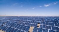 AFRIQUE : les EAU lancent un programme de financement des énergies renouvelables © lightrain/Shutterstock
