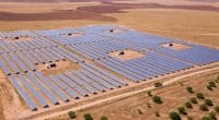 EGYPT: Sungrow and KarmSolar install a solar power plant for Cairo 3A Poultry ©Yunus Emre Hamis/Shutterstock
