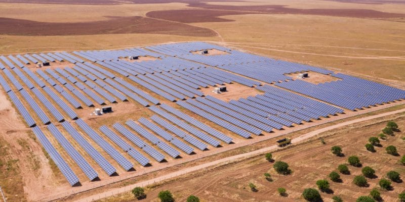 EGYPT: Sungrow and KarmSolar install a solar power plant for Cairo 3A Poultry ©Yunus Emre Hamis/Shutterstock