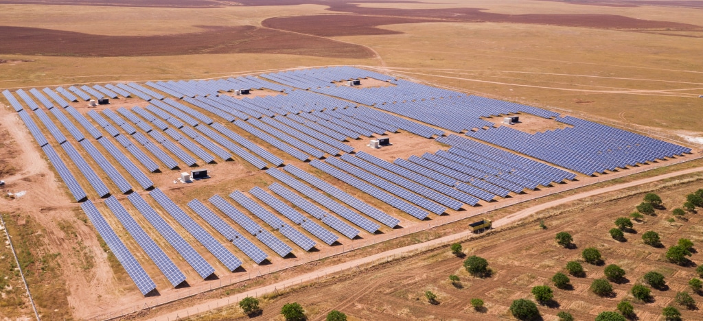 ÉGYPTE : Sungrow et KarmSolar installent une centrale solaire pour Cairo 3A Poultry ©Yunus Emre Hamis/Shutterstock