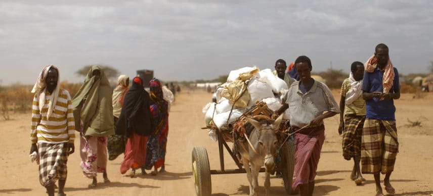 CORNE DE L’AFRIQUE : 138 M$ pour soutenir les agriculteurs impactés par la sécheresse ©mehmet ali poyraz/Shutterstock