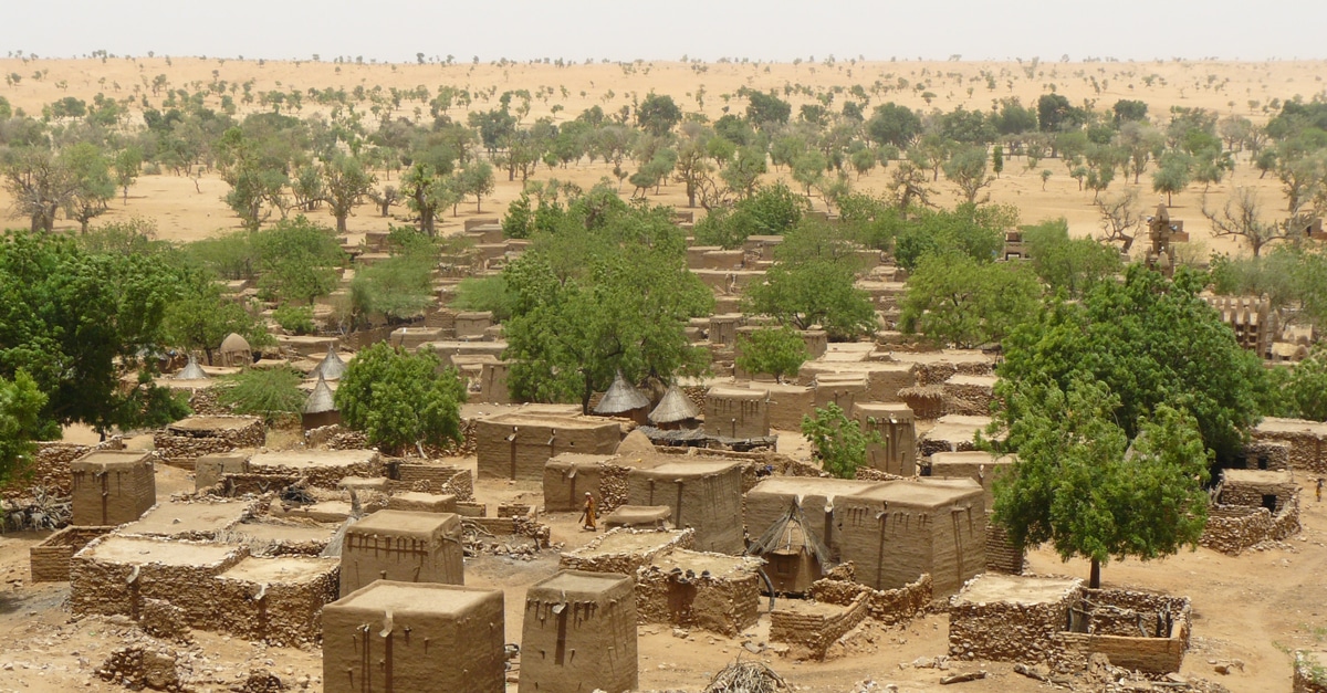 Photo of Afrique : Effets négatifs potentiels de la Grande Muraille Verte
