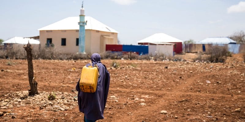 SOMALIE : quand la sécheresse menace la sécurité alimentaire d’un habitant sur quatre ©Galyna Andrushko/Shutterstock