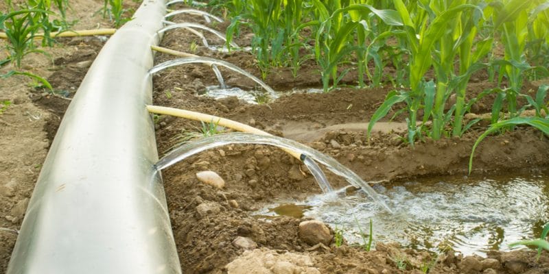 KENYA : le gouvernement accompagne l’agriculture durable et l’accès l’eau à Nyandarua ©WH_Pics/Shutterstock