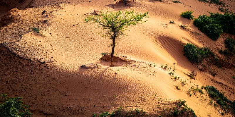IVORY COAST: Abidjan hosts the 15th COP on desertification from 9 to 20 May 2022 ©Madalin Olariu/Shutterstock