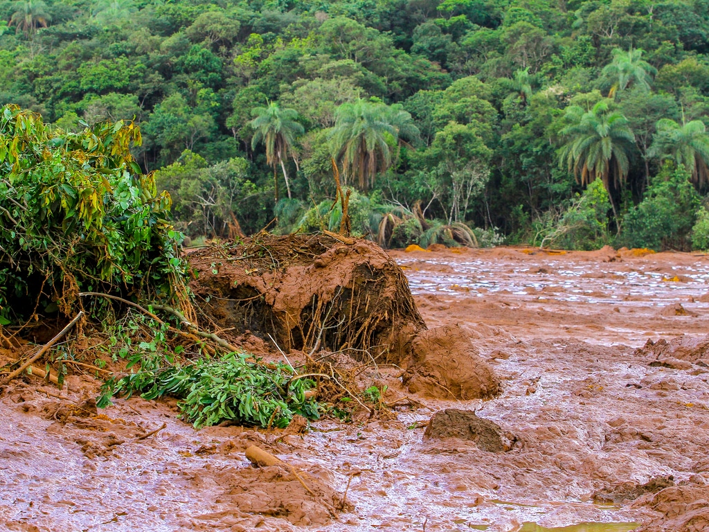 SOUTH AFRICA: Biodiversity at risk after mining dam collapse ©Christyam de Lima/Shutterstock