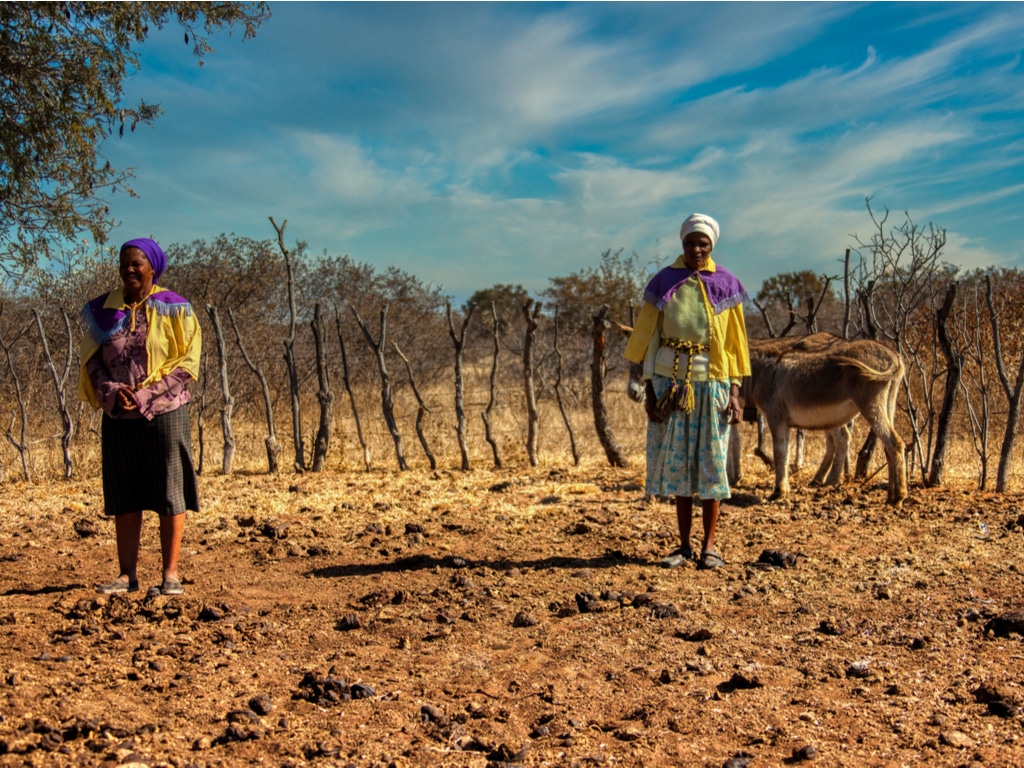 NAMIBIA: Impending drought worries farmers in the north ©Lucian Coman/Shutterstock