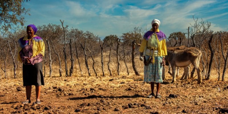 NAMIBIE : une sécheresse imminente inquiète les agriculteurs dans le nord ©Lucian Coman/Shutterstock