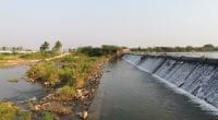 KENYA : la construction du barrage d’irrigation de Mwache commence en février 2022©Ashok Narimeta/Shutterstock