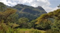 GHANA: vers l’inscription de 17 sites au réseau de réserves de biosphère de l'Unesco©Bartek Zobek/Shutterstock