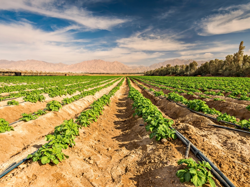 MOROCCO: Redi project to rehabilitate irrigation systems in 3 regions©Sergei25/Shutterstock