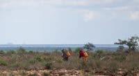 SOMALIE : 10 M$ de Londres pour garantir la sécurité alimentaire et l’accès à l’eau©sntes/Shutterstock