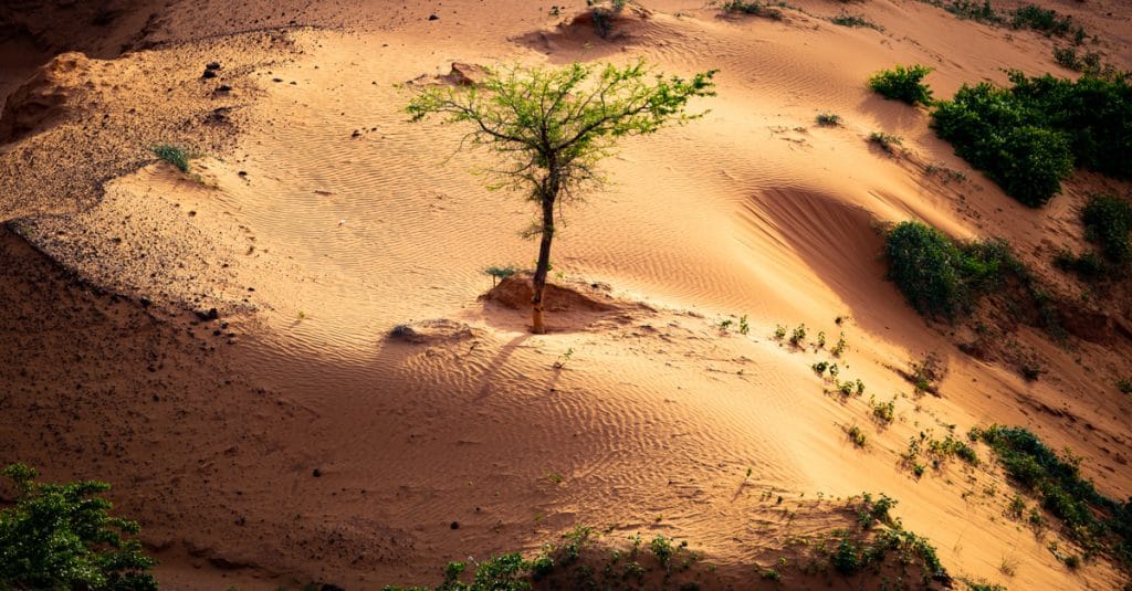 AFRIQUE : les engagements climatiques du 6e sommet Union africaine-Union européenne ©Madalin Olariu/Shutterstock