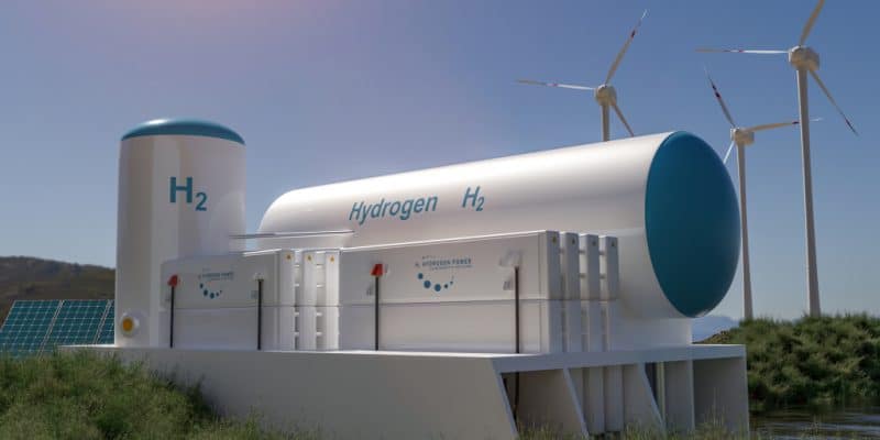 MAROC : le français Total Eren investira 9 Md€ dans l’hydrogène et l’ammoniac vert ©Audio und werbung/Shutterstock