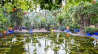 MAROC : à Rabat, le Jardin d’essais botaniques se dote d’un système de compostage© Crédit: saiko3p/ Shutterstock
