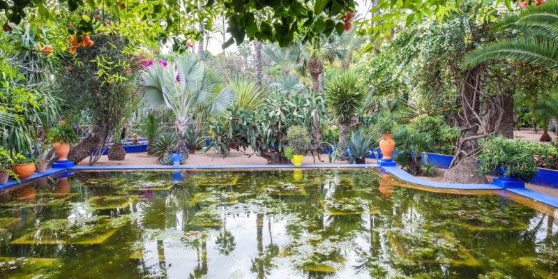 MAROC : à Rabat, le Jardin d’essais botaniques se dote d’un système de compostage© Crédit: saiko3p/ Shutterstock