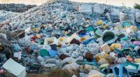 AFRIQUE : un appui de WasteAid contre la pollution plastique à Johannesburg et Douala© MOHAMED ABDULRAHEEM / Shutterstock