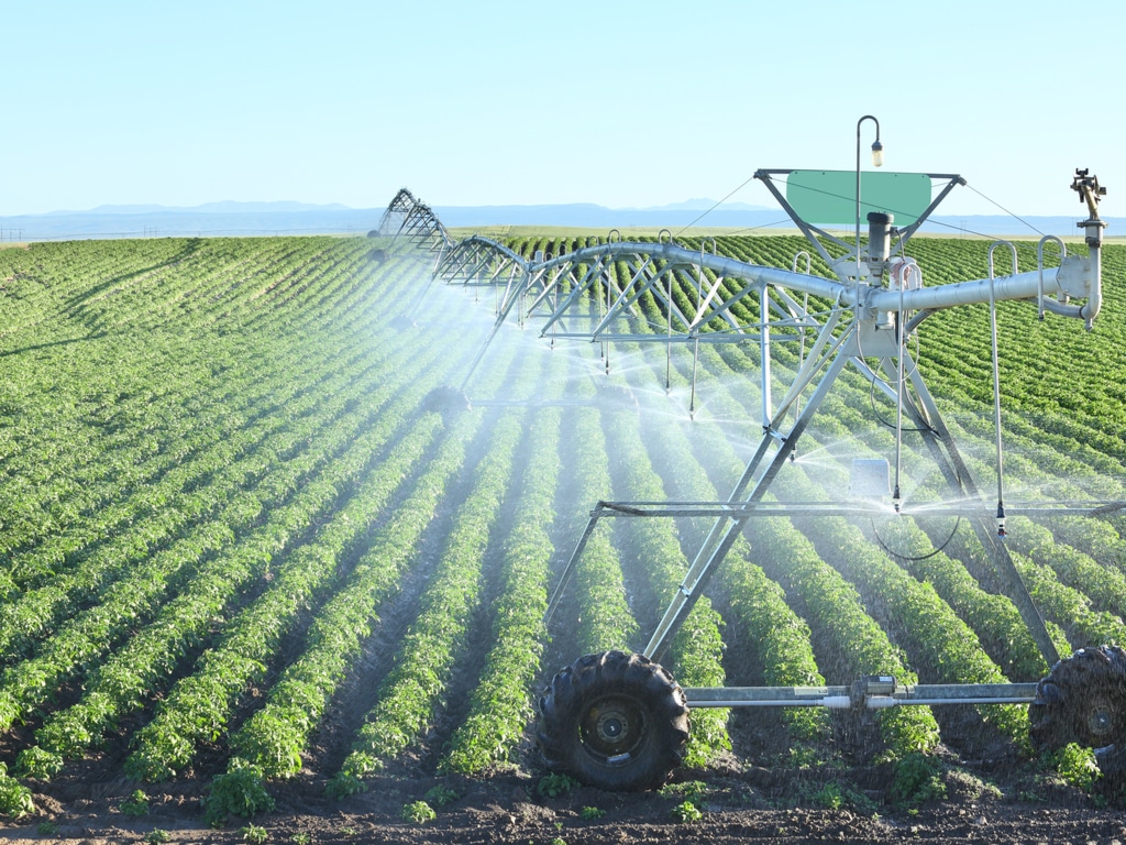 ZIMBABWE: 450 Irrigation Systems to be Rehabilitated for Agriculture©B Brown/Shutterstock