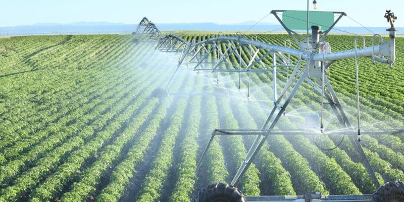 ZIMBABWE : 450 systèmes d’irrigation seront réhabilités pour l’agriculture©B Brown/Shutterstock