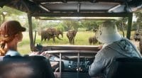 GHANA: New manual promotes ecotourism ©soft_light /Shutterstock
