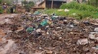 UGANDA: WWF launches "Earth Hour" initiative to combat plastic pollution©P. Falchi/Shutterstock