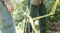 BÉNIN : l’impact du massacre de 5 rangers dans le parc national du W au nord du pays ©santdavalos/Shutterstock