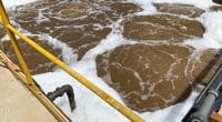 ALGERIA: A station will treat leachate at Sidi Ben Adda by the end of February©Galerysyed/Shutterstock