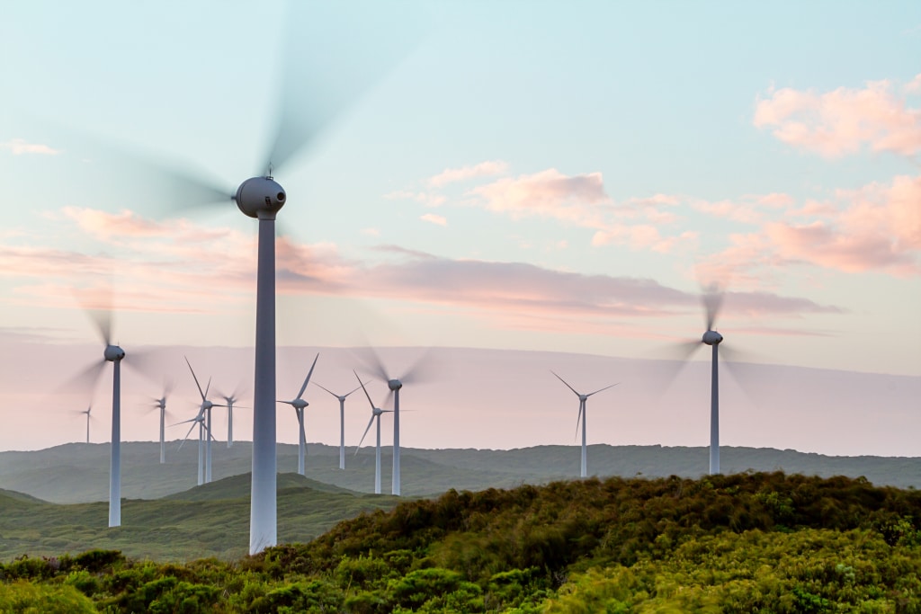 SOUTH AFRICA: Cape Town launches a tender for 300 MW of renewable energy © PomInPerth/Shutterstock