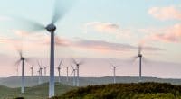 AFRIQUE DU SUD : le Cap lance un appel d’offres pour 300 MW d’énergies renouvelables © PomInPerth/Shutterstock