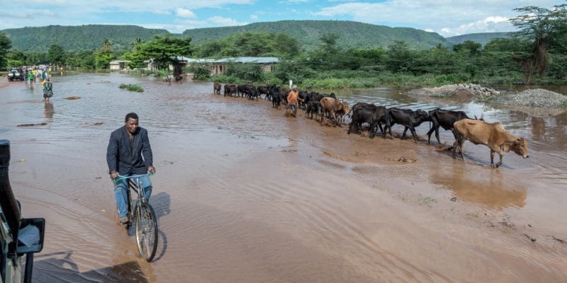 SOUTH SUDAN: IDA provides $120 million for flood resilience © Vadim Petrakov/Shutterstock