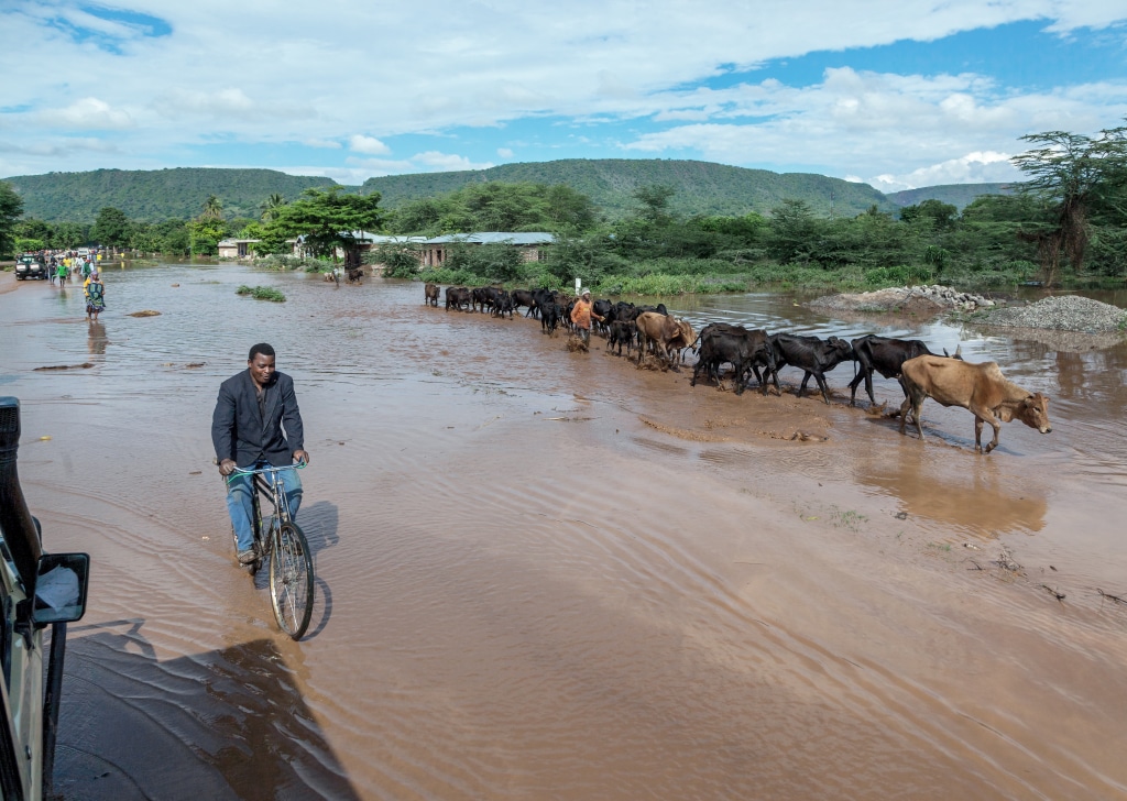 SOUTH SUDAN: IDA provides $120 million for flood resilience © Vadim Petrakov/Shutterstock