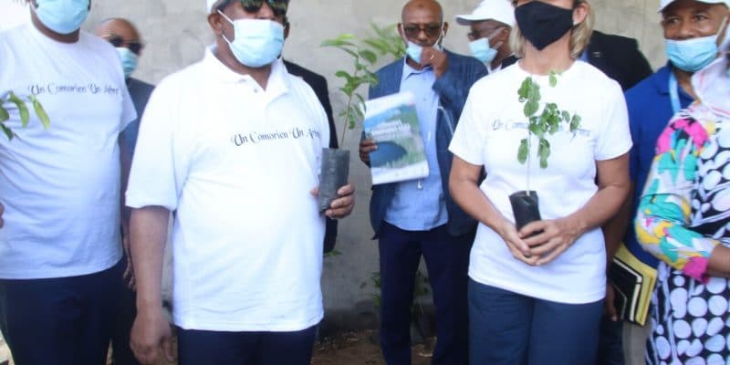 COMOROS: In Moroni, UNDP and GCF launch a reforestation operation with the State © undp