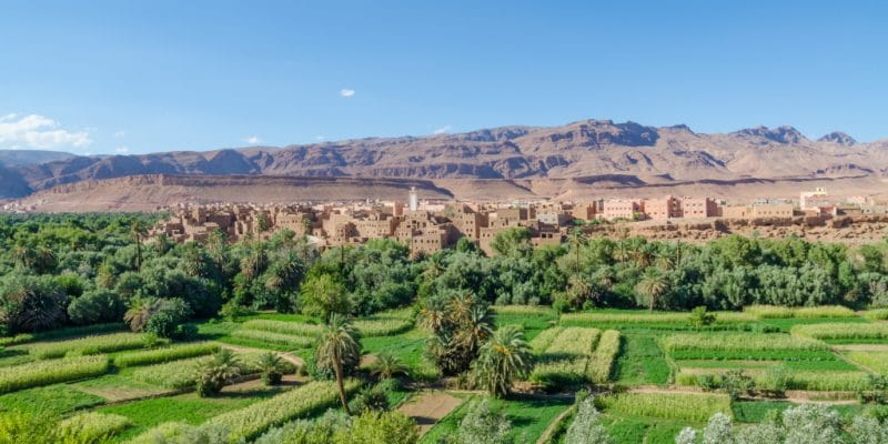 MOROCCO: The World Bank lends €163 million for agriculture in the face of drought©Sergei25/Shutterstock