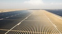 TUNISIE : à Kairouan, Amea Power va construire une centrale solaire de 100 MW en PPP © Kertu/Shutterstock